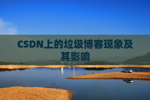 CSDN上的垃圾博客现象及其影响